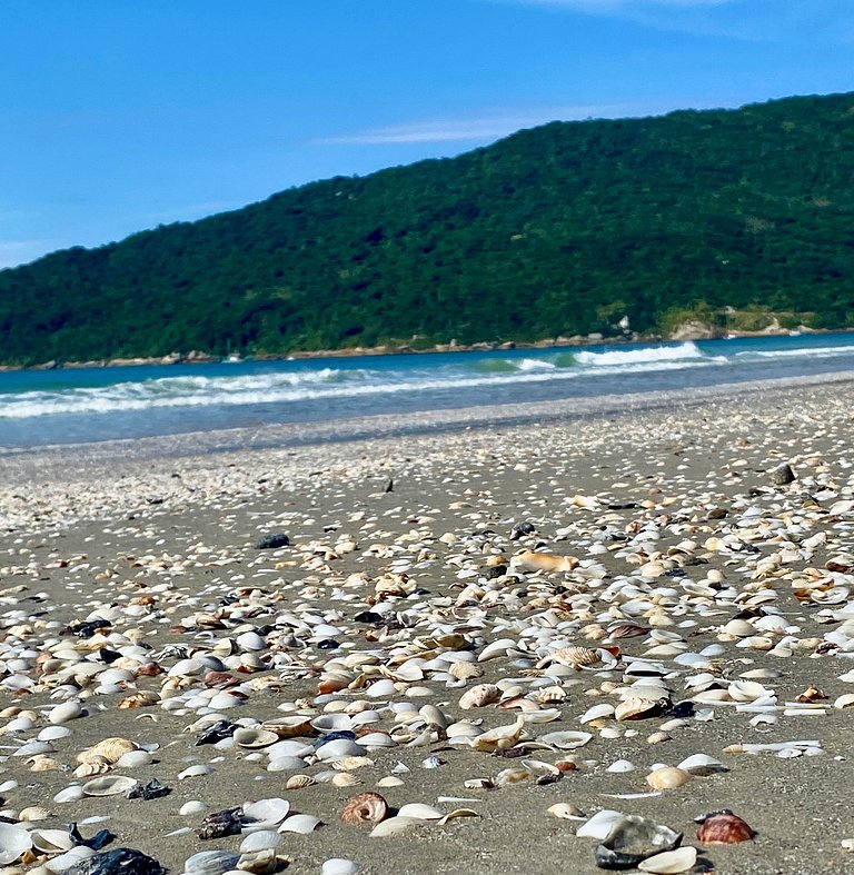 Conforto e pé na areia Praia dos Ingleses