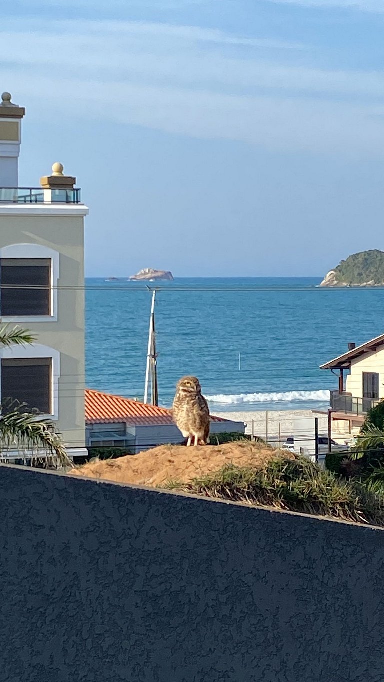 Espaço c/ piscinas e vista panorâmica da Praia